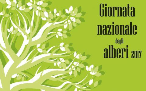 Enigmistica per la Giornata nazionale degli alberi (21 novembre